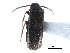  ( - CCDB-28937-C10)  @11 [ ] CreativeCommons - Attribution (2015) CBG Photography Group Centre for Biodiversity Genomics