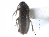  ( - CCDB-28937-C11)  @11 [ ] CreativeCommons - Attribution (2015) CBG Photography Group Centre for Biodiversity Genomics
