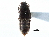  ( - CCDB-28937-D06)  @11 [ ] CreativeCommons - Attribution (2015) CBG Photography Group Centre for Biodiversity Genomics
