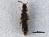  ( - CCDB-28976-E06)  @11 [ ] CreativeCommons - Attribution (2015) CBG Photography Group Centre for Biodiversity Genomics