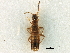  ( - CCDB-23525-F05)  @11 [ ] CreativeCommons - Attribution (2014) CBG Photography Group Centre for Biodiversity Genomics