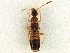  ( - CCDB-23525-F06)  @11 [ ] CreativeCommons - Attribution (2014) CBG Photography Group Centre for Biodiversity Genomics
