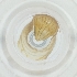  ( - LFLA_009_C1)  @11 [ ] by  Genome Research Ltd as Wellcome Sanger Institute Genome Research Limited operating as Wellcome Sanger Institute