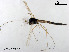  ( - LGS01)  @11 [ ] CreativeCommons-Attribution Non-Commercial Share-Alike (2020) Xiaolong Lin Nankai University, College of Life Sciences