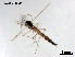  ( - LGS28)  @11 [ ] CreativeCommons-Attribution Non-Commercial Share-Alike (2020) Xiaolong Lin Nankai University, College of Life Sciences
