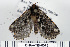  ( - DNA-ATBI-0073)  @14 [ ] CreativeCommons - Attribution (2010) Unspecified Centre for Biodiversity Genomics