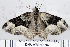  ( - DNA-ATBI-0184)  @13 [ ] CreativeCommons - Attribution (2010) Unspecified Centre for Biodiversity Genomics