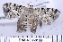  ( - DNA-ATBI-0188)  @13 [ ] CreativeCommons - Attribution (2010) Unspecified Centre for Biodiversity Genomics