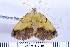  ( - DNA-ATBI-0189)  @12 [ ] CreativeCommons - Attribution (2010) Unspecified Centre for Biodiversity Genomics