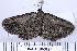  ( - DNA-ATBI-0191)  @13 [ ] CreativeCommons - Attribution (2010) Unspecified Centre for Biodiversity Genomics