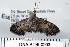  ( - DNA-ATBI-0203)  @13 [ ] CreativeCommons - Attribution (2010) Unspecified Centre for Biodiversity Genomics