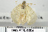  ( - DNA-ATBI-0204)  @13 [ ] CreativeCommons - Attribution (2010) Unspecified Centre for Biodiversity Genomics
