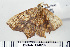 ( - DNA-ATBI-0209)  @12 [ ] CreativeCommons - Attribution (2010) Unspecified Centre for Biodiversity Genomics