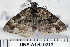  ( - DNA-ATBI-0213)  @12 [ ] CreativeCommons - Attribution (2010) Unspecified Centre for Biodiversity Genomics
