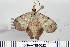  ( - DNA-ATBI-0222)  @13 [ ] CreativeCommons - Attribution (2010) Unspecified Centre for Biodiversity Genomics
