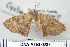  ( - DNA-ATBI-0237)  @13 [ ] CreativeCommons - Attribution (2010) Unspecified Centre for Biodiversity Genomics