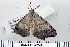  ( - DNA-ATBI-0241)  @13 [ ] CreativeCommons - Attribution (2010) Unspecified Centre for Biodiversity Genomics