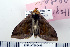  ( - DNA-ATBI-0448)  @13 [ ] CreativeCommons - Attribution (2010) Unspecified Centre for Biodiversity Genomics