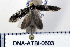  ( - DNA-ATBI-0603)  @13 [ ] CreativeCommons - Attribution (2010) Unspecified Centre for Biodiversity Genomics