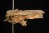  ( - DNA-ATBI-0722)  @12 [ ] CreativeCommons - Attribution (2010) Unspecified Centre for Biodiversity Genomics