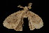  ( - DNA-ATBI-0610)  @12 [ ] CreativeCommons - Attribution (2010) Unspecified Centre for Biodiversity Genomics