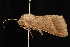  ( - DNA-ATBI-0648)  @13 [ ] CreativeCommons - Attribution (2010) Unspecified Centre for Biodiversity Genomics