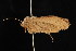  ( - DNA-ATBI-0647)  @13 [ ] CreativeCommons - Attribution (2010) Unspecified Centre for Biodiversity Genomics