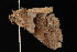  ( - DNA-ATBI-0668)  @12 [ ] CreativeCommons - Attribution (2010) Unspecified Centre for Biodiversity Genomics