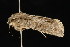  ( - DNA-ATBI-0669)  @12 [ ] CreativeCommons - Attribution (2010) Unspecified Centre for Biodiversity Genomics