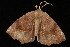  ( - DNA-ATBI-0229)  @13 [ ] CreativeCommons - Attribution (2010) Unspecified Centre for Biodiversity Genomics