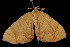  ( - DNA-ATBI-0223)  @13 [ ] CreativeCommons - Attribution (2010) Unspecified Centre for Biodiversity Genomics