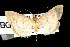  ( - DNA-ATBI-0872)  @14 [ ] CreativeCommons - Attribution (2010) Unspecified Centre for Biodiversity Genomics