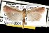  ( - DNA-ATBI-0982)  @13 [ ] CreativeCommons - Attribution (2010) Unspecified Centre for Biodiversity Genomics