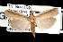  ( - DNA-ATBI-1025)  @14 [ ] CreativeCommons - Attribution (2010) Unspecified Centre for Biodiversity Genomics