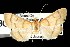  ( - DNA-ATBI-1030)  @13 [ ] CreativeCommons - Attribution (2010) Unspecified Centre for Biodiversity Genomics
