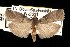  ( - DNA-ATBI-1078)  @13 [ ] CreativeCommons - Attribution (2010) Unspecified Centre for Biodiversity Genomics