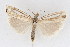  ( - DNA-ATBI-1285)  @12 [ ] CreativeCommons - Attribution (2010) Unspecified Centre for Biodiversity Genomics