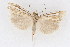  ( - DNA-ATBI-1286)  @12 [ ] CreativeCommons - Attribution (2010) Unspecified Centre for Biodiversity Genomics