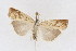  ( - DNA-ATBI-1289)  @13 [ ] CreativeCommons - Attribution (2010) Unspecified Centre for Biodiversity Genomics