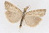  ( - DNA-ATBI-1291)  @13 [ ] CreativeCommons - Attribution (2010) Unspecified Centre for Biodiversity Genomics