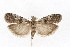  ( - DNA-ATBI-1351)  @13 [ ] CreativeCommons - Attribution (2010) Unspecified Centre for Biodiversity Genomics