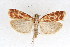  ( - DNA-ATBI-1361)  @12 [ ] CreativeCommons - Attribution (2010) Unspecified Centre for Biodiversity Genomics