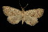  ( - DNA-ATBI-4004)  @14 [ ] CreativeCommons - Attribution (2010) Unspecified Centre for Biodiversity Genomics