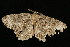  ( - DNA-ATBI-2032)  @13 [ ] CreativeCommons - Attribution (2010) Unspecified Centre for Biodiversity Genomics