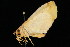  ( - DNA-ATBI-2048)  @12 [ ] CreativeCommons - Attribution (2010) Unspecified Centre for Biodiversity Genomics