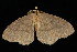  ( - DNA-ATBI-2053)  @13 [ ] CreativeCommons - Attribution (2010) Unspecified Centre for Biodiversity Genomics