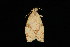  ( - DNA-ATBI-2157)  @12 [ ] CreativeCommons - Attribution (2010) Unspecified Centre for Biodiversity Genomics