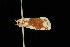  ( - DNA-ATBI-2177)  @12 [ ] CreativeCommons - Attribution (2010) Unspecified Centre for Biodiversity Genomics