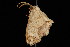  ( - DNA-ATBI-2243)  @14 [ ] CreativeCommons - Attribution (2010) Unspecified Centre for Biodiversity Genomics
