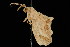  ( - DNA-ATBI-2244)  @14 [ ] CreativeCommons - Attribution (2010) Unspecified Centre for Biodiversity Genomics